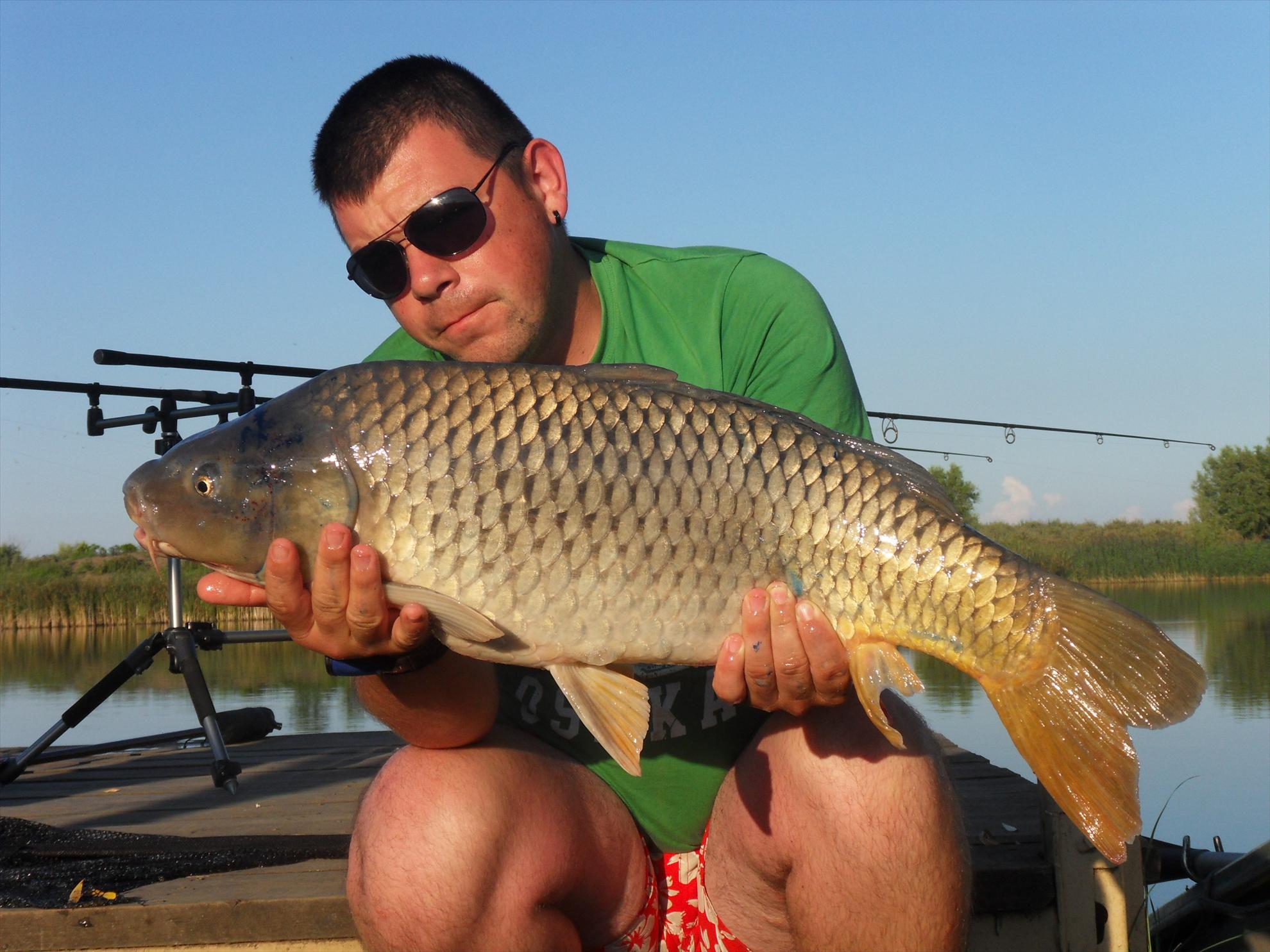 Nagykallo 2011 - nagykallo2011-235.JPG